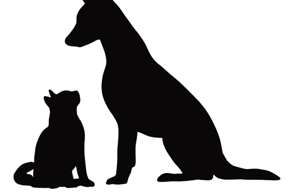 hond en kat transparant.png